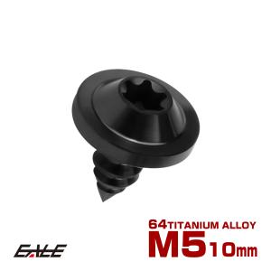 タッピングネジ M5×12mm チタン トルクス穴 フランジ付き ビス