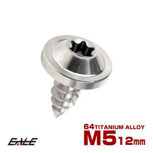 タッピングネジ M5×12mm チタン トルクス穴 フランジ付き ビス