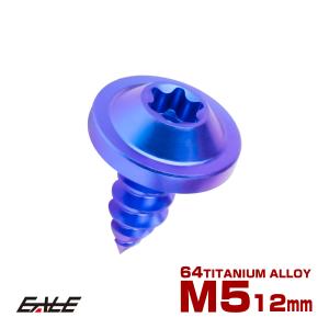 タッピングネジ M5×35mm チタン トルクス穴 フランジ付き ビス ブルー