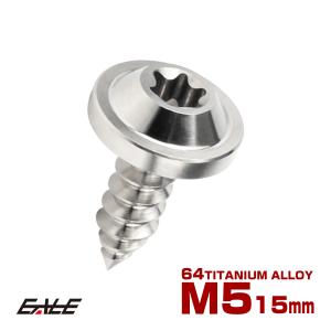 タッピングネジ M5×15mm チタン トルクス穴 フランジ付き ビス シルバー JA1253｜eale