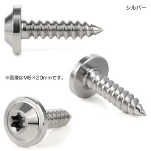 タッピングネジ M5×15mm チタン トルク...の詳細画像2