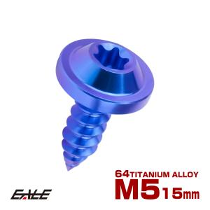 タッピングネジ M5×15mm チタン トルクス穴 フランジ付き ビス