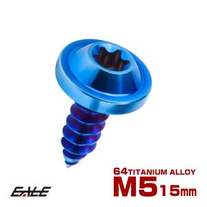 タッピングネジ M5×18mm チタン トルクス穴 フランジ付き ビス ダーク