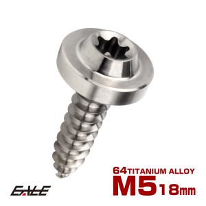 テッタン　Rサブ　加工 タッピングネジ M5×18mm チタン トルクス穴 フランジ付き ビス