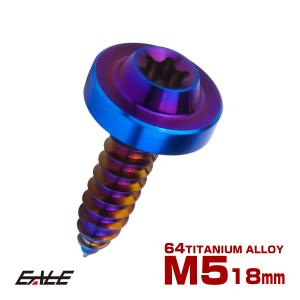 タッピングネジ M5×15mm チタン トルクス穴 フランジ付き ビス