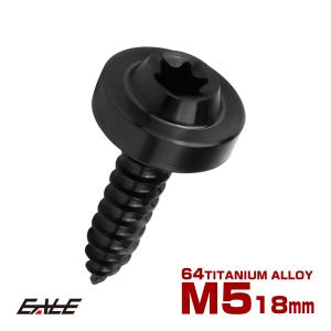 タッピングネジ M4×20mm チタン トルクス穴 フランジ付き ビス