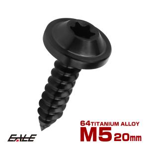 タッピングネジ M5×18mm チタン トルクス穴 フランジ付き ビス ダーク