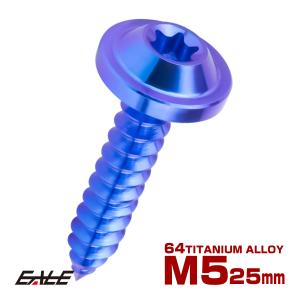 タッピングネジ M5×35mm チタン トルクス穴 フランジ付き ビス ブルー