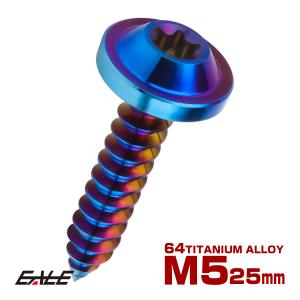 タッピングネジ M5×18mm チタン トルクス穴 フランジ付き ビス ダーク