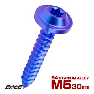 タッピングネジ M5×35mm チタン トルクス穴 フランジ付き ビス ブルー