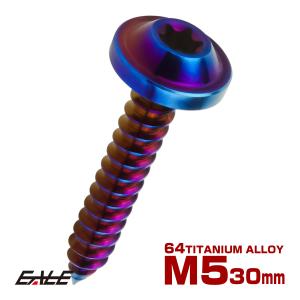 タッピングネジ M5×18mm チタン トルクス穴 フランジ付き ビス ダーク