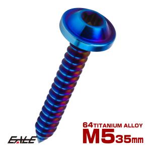 タッピングネジ M5×18mm チタン トルクス穴 フランジ付き ビス ダーク