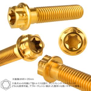 チタンボルト M6×15mm P1.00 六角...の詳細画像2