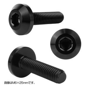 チタンボルト M6×20mm P1.00 ボタ...の詳細画像2