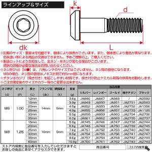 チタンボルト M6×20mm P1.00 ボタ...の詳細画像4