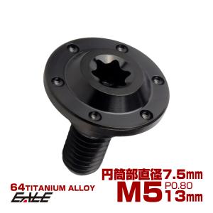 チタン 段付きボルト M5×16mm P0.8 円筒部直径7.5mm ホールヘッド