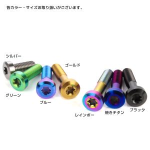 チタンボルト M8×25mm P1.25 トル...の詳細画像3