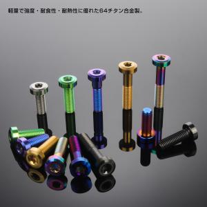 チタンボルト M8×25mm P1.25 トル...の詳細画像4