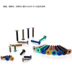 チタンボルト M4×15mm P0.7 皿ボル...の詳細画像3