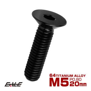 チタンボルト M5×15mm P0.8 皿ボルト 六角穴 皿 キャップボルト