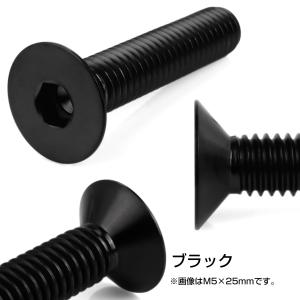 チタンボルト M5×25mm P0.8 皿ボル...の詳細画像2