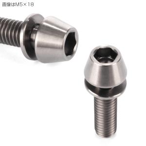 チタンボルト M6×25mm P1.00 ワッ...の詳細画像2