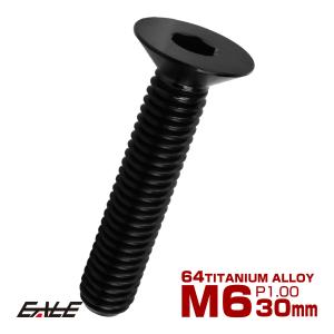チタンボルト M6×30mm P1.0 皿ボルト...の商品画像