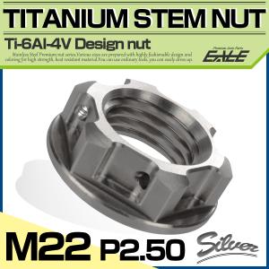 チタンナット M22 P2.5 ステムナット 六角ナット フランジ付 シルバー デザイン JA162｜eale