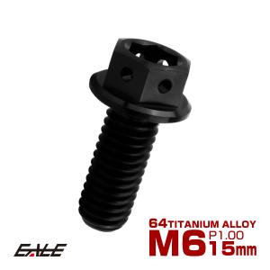 チタンボルト M6×15mm P1.00 六角ボルト 六角穴付き ホールヘッド フランジボルト ブラック JA1743