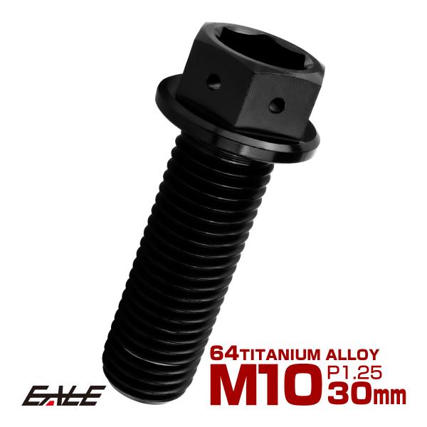 チタンボルト M10×30mm P1.25 六角ボルト 六角穴付き ホールヘッド フランジボルト ブ...