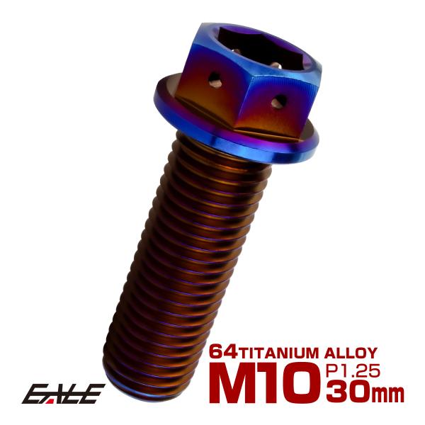 チタンボルト M10×30mm P1.25 六角ボルト 六角穴付き ホールヘッド フランジボルト 焼...