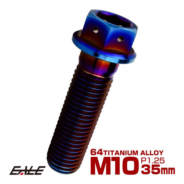 チタンボルト M10×35mm P1.25 六角ボルト 六角穴付き ホールヘッド フランジボルト 焼...