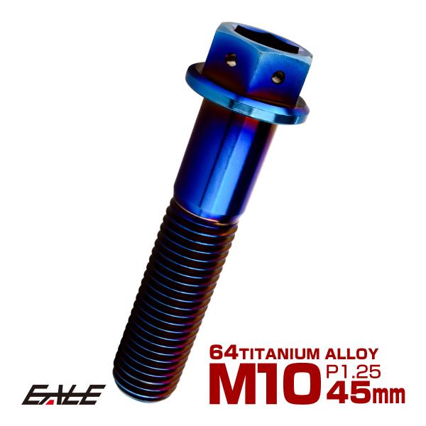 チタンボルト M10×45mm P1.25 六角ボルト 六角穴付き ホールヘッド フランジボルト 焼...