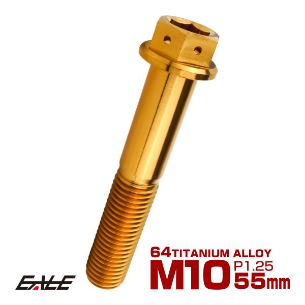 チタンボルト M10×55mm P1.25 六角ボルト 六角穴付き ホールヘッド フランジボルト ゴ...