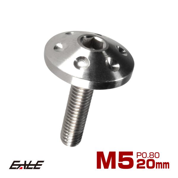 チタンボルト M5×20mm P0.80 頭部径18mm ボタンボルト 六角穴 グレー 素地色 ホー...