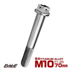 チタンボルト M10×70mm P1.25 六角ボルト 六角穴付き ホールヘッド フランジボルト シルバー JA1831｜eale