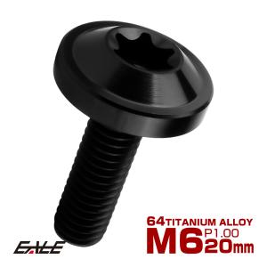 チタンボルト M6×20mm P1.00 ボタン...の商品画像