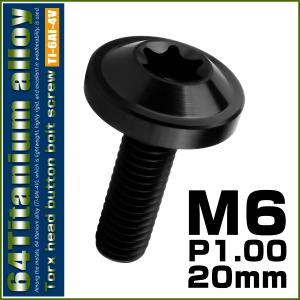 チタンボルト M6×20mm P1.00 ボタ...の詳細画像1
