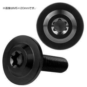 チタンボルト M6×20mm P1.00 ボタ...の詳細画像2