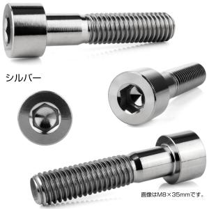チタンボルト M6×15mm P1.0 キャッ...の詳細画像2