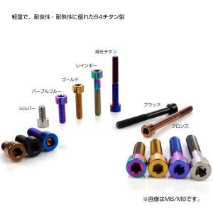 チタンボルト M6×15mm P1.0 キャッ...の詳細画像3