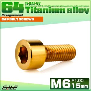 チタンボルト M6×15mm P1.0 キャッ...の詳細画像1