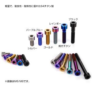 チタンボルト M6×30mm P1.0 キャッ...の詳細画像3