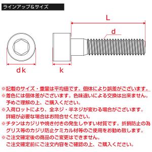 チタンボルト M6×30mm P1.0 キャッ...の詳細画像4