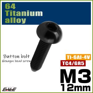 チタンボルト M3×12mm P0.5 ボタン...の詳細画像1
