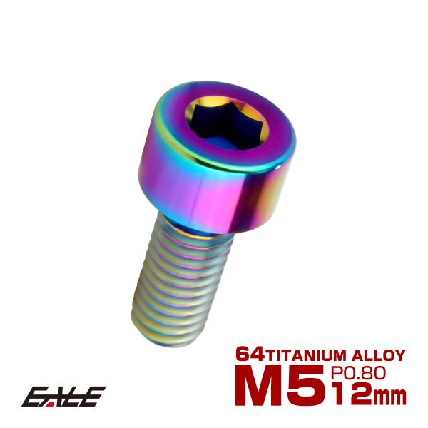 チタンボルト M5×12mm P0.8 キャップボルト キャップスクリュー 六角穴付き ボルト レイ...