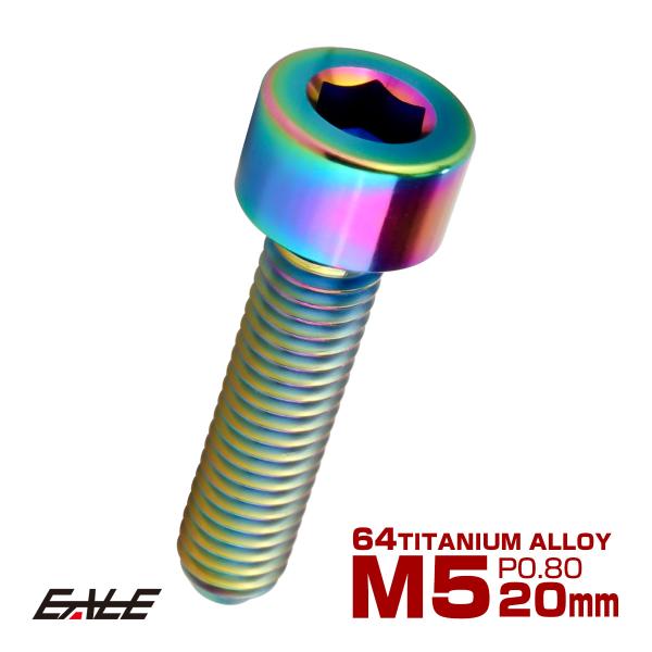 チタンボルト M5×20mm P0.8 キャップボルト キャップスクリュー 六角穴付き ボルト レイ...