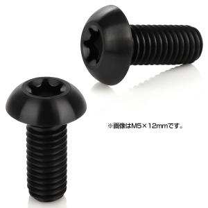 チタンボルト M5 12mm P0.8 ボタン...の詳細画像1