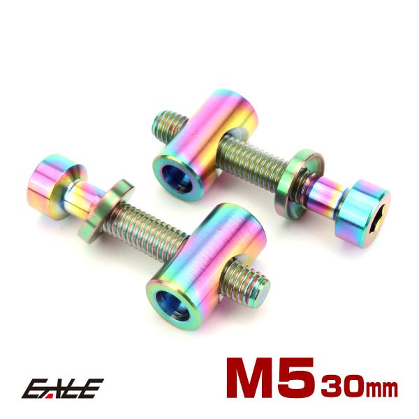 シートポスト用 固定ボルト M5 30mm チタン トムソン対応  レインボー 自転車 2個セット ...