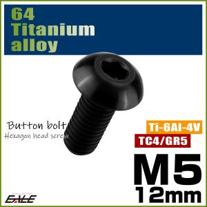 チタンボルト M5×12mm P0.8 ボタン...の詳細画像1